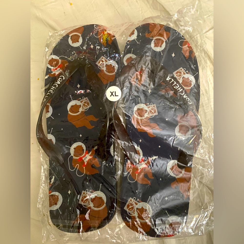 Coachella Music Festival Flip Flops New Sealed Bag Sz XL Black Red Brown White.